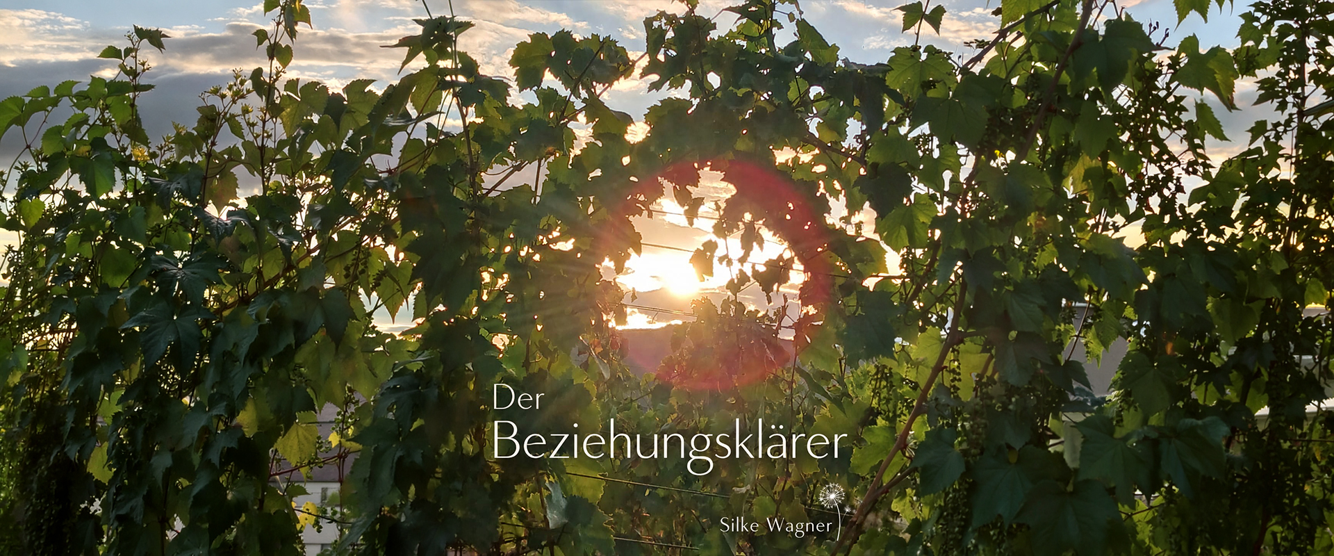 Der Beziehungsklärer